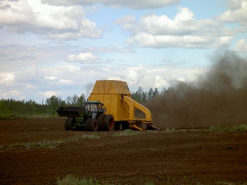 PICT0995.jpg